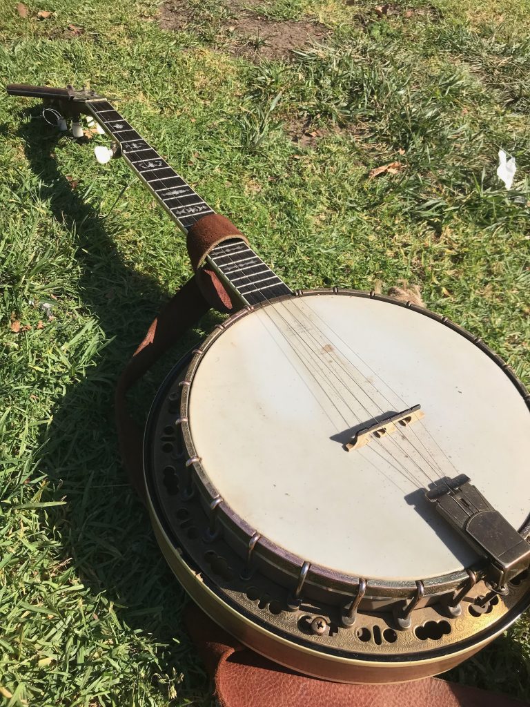 Scooter's banjo laying in the grass.