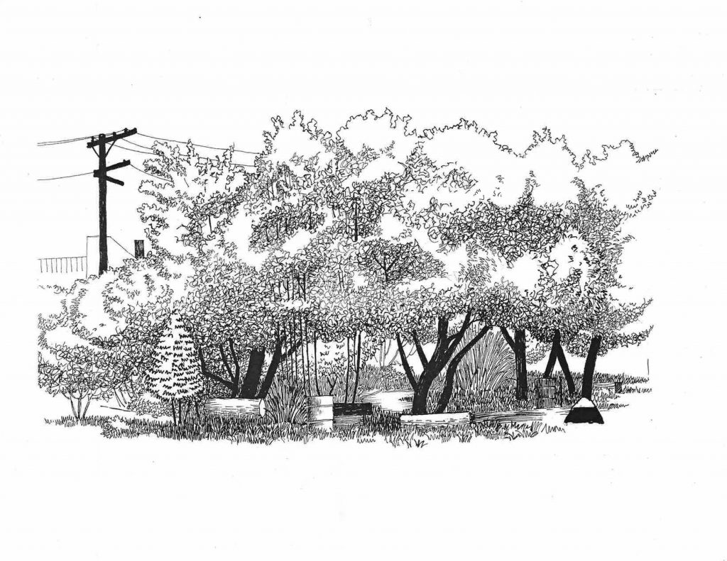 A drawing of a serene scene in the Park.