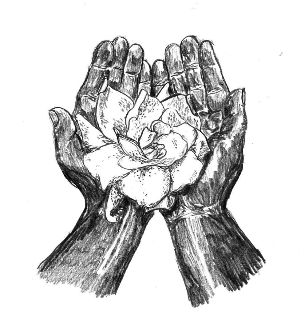 A pencil drawing of two hands holding a flower