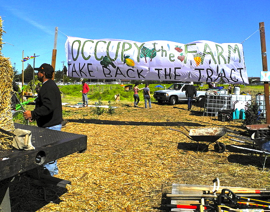 A hand-painted banner decorated with images of vegetables reads, "Occupy the farm, take back the tract"