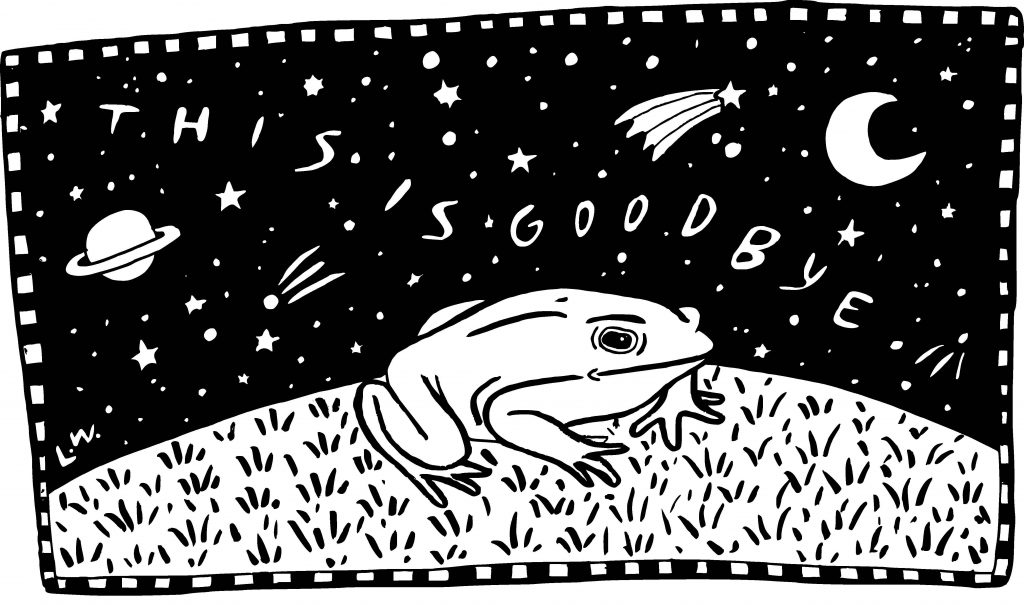 A black and white illustration of a frog sitting in the grass. Above it, the words "this is goodbye" can be seen in the sky, surrounded by stars, the moon, and the planets.