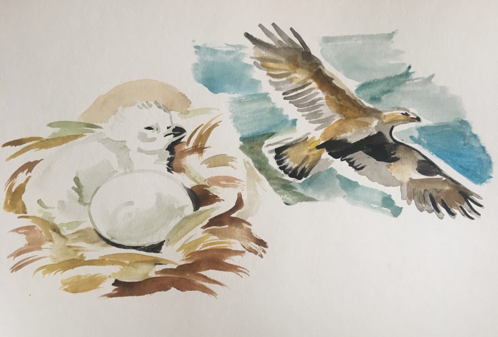 A watercolor image of a baby bird in a nest. In the background, a fully grown bird flies in the sky.