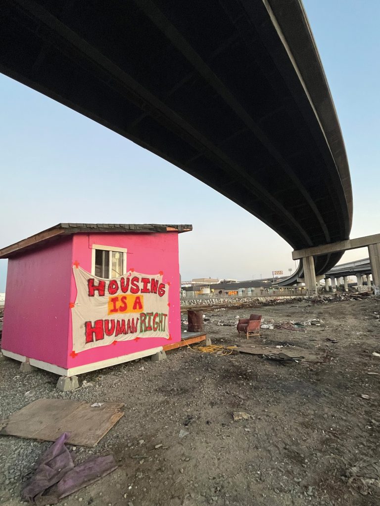 A pink tiny home under the highway with a banner on it that reads "housing is a human right."