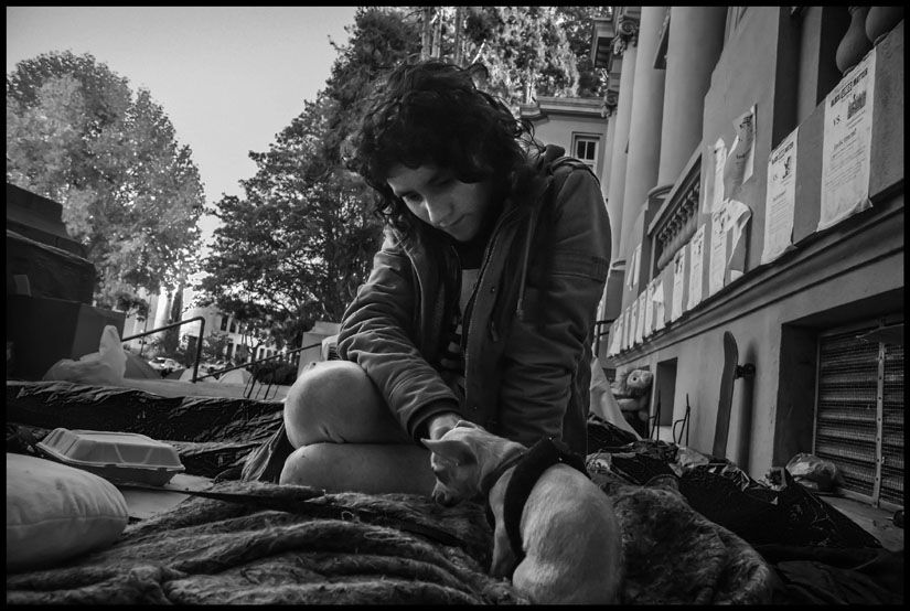 A young woman with her dog in the Liberty City occupation outside the old Berkeley City Hall. Photo by David Bacon