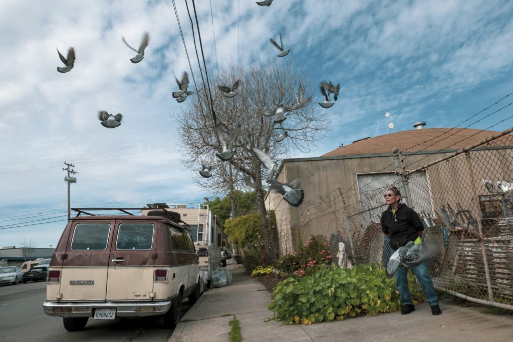 Merced Dominquez is surrounded by a group of pigeons flying overhead. The sky above is a bright blue, and her red and cream colored RV is parked on the street next to her.