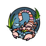 Illustration of a scorpion, which is the symbol for the zodiac sign for Scorpio.
